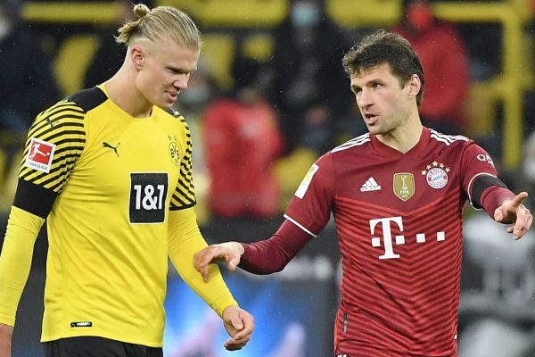 مولر ترجیح میدهم اسبها و خرگوشها را تغذیه کنم تا هالند