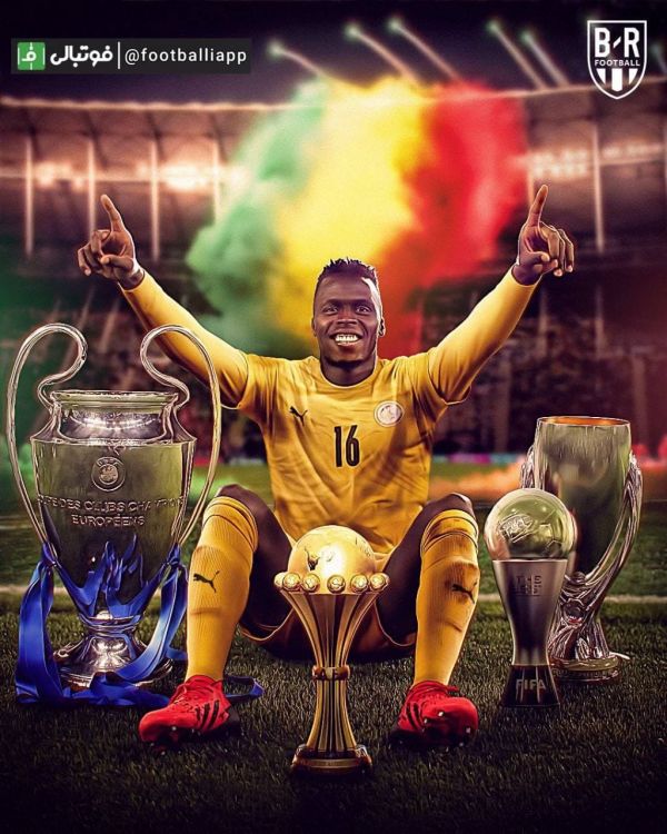  طرح  مندی و اضافه کردن یک جام دیگر به کلکسیون افتخاراتش  لیگ قهرمانان اروپا، سوپرکاپ اروپا، بهترین دروازبان سال فیفا، جام ملت‌های آفریقا