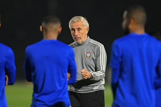 اعلام دلیل برکناری فنمارویک گزینه اصلی هدایت همگروه ایران مشخص شد