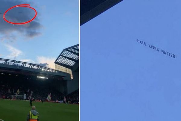  پیام بامزه بر فراز آنفیلد  جان گربه‌ها مهم است