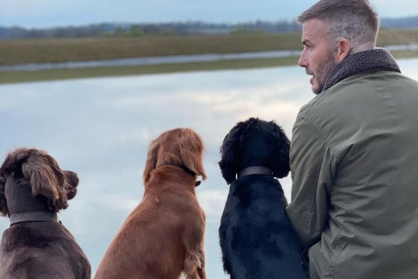 تبریک همسر بکام برای تولد ۴۷ سالگی دیوید