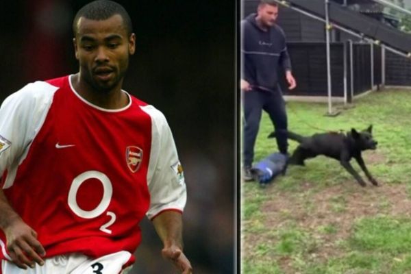  هزینه 23 هزار یورویی بازیکن اسبق آرسنال برای سگ نگهبان
