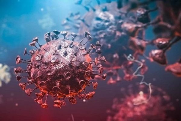  آخرین آمار مبتلایان به کرونا در کشور  چهارشنبه دوم شهریور