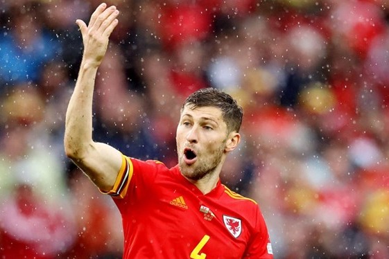 ولز برای کاری بزرگ به جام جهانی آمده است