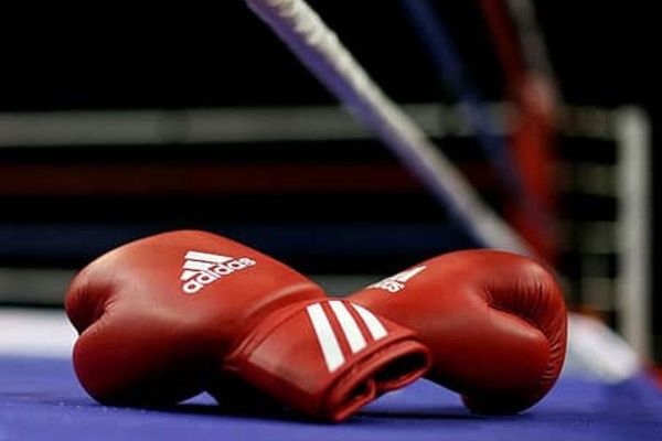 حسینی سرپرست فدراسیون بوکس شد