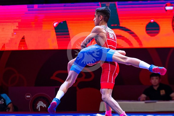  اعضای کمیته فنی کشتی فرنگی معرفی شدند