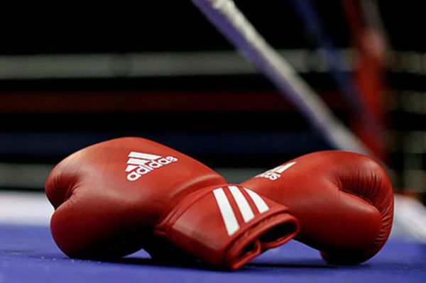  واکنش آیبا به ادعاهای دروغین در خصوص بوکس ایران عکس