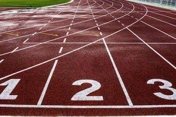 سپهرزاد به ورزشکار پول بدهیم و بگوییم خودت تمرین کن آخرش همین میشود