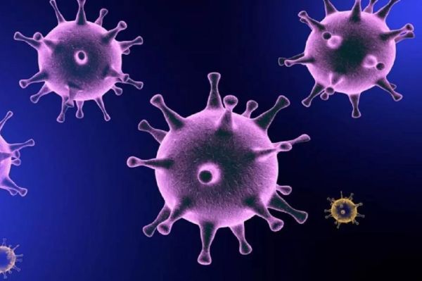 آخرین آمار مبتلایان به کرونا در کشور پنجشنبه ۱۰ شهریور