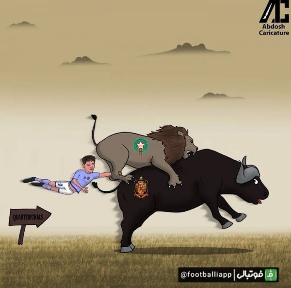  کاریکاتور  شیرهای اطلس، گاوباز ها را به خانه فرستادند