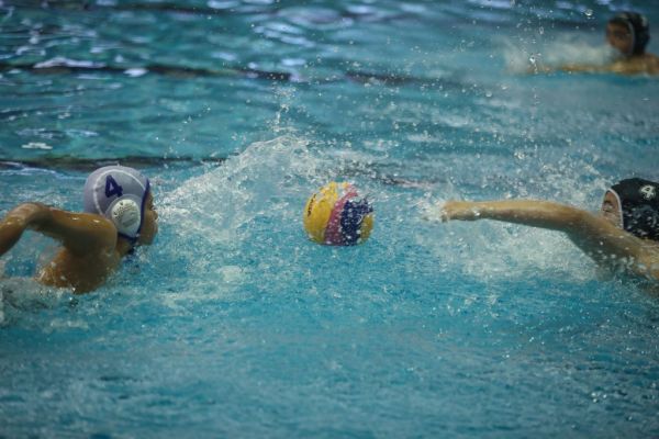 ملی پوشان واترپلو ایران فردا عازم سنگاپور میشوند