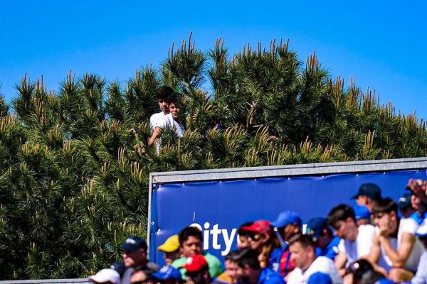 عکس؛ تماشای بازی ختافه و بارسلونا از بالای درختان