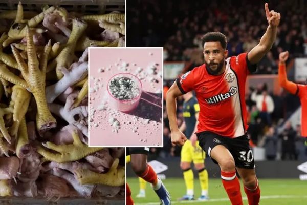  مشخص شدن دلیل علاقه ستاره لیگ انگلیس به پای مرغ