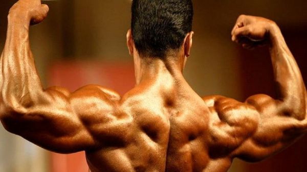  کیش، میزبان مسابقات جهانى پرورش اندام شد