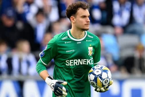  دروازه‌بان ایرانی-سوئدی زیر ذره‌بین سرمربی تیم ملی