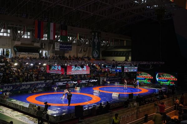  کشتی آزاد جام تختی  قهرمانان 5 وزن نخست مشخص شدند