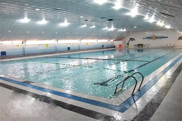 افزایش دو برابری درآمد پرسپولیس از محل واگذاری بهرهبرداری استخر