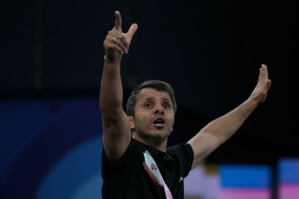 رنگرز فدراسیون کشتی در مباحث فنی دخالتی نداشت