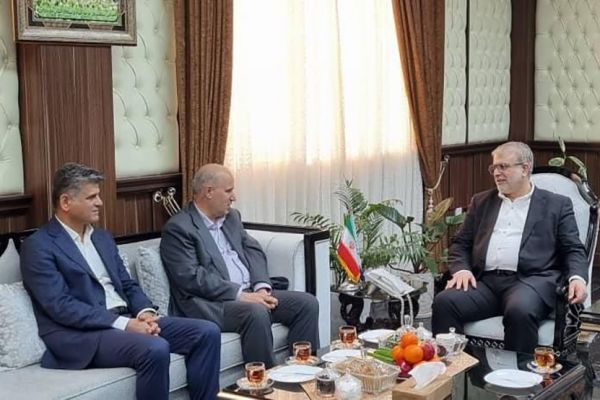 رئیس فدراسیون پیگیر ورود بانوان به ورزشگاهها شد