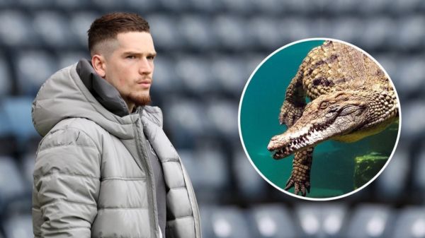 درخواست رایان کنت از کارتال؛ تمساح به ایران میآورم