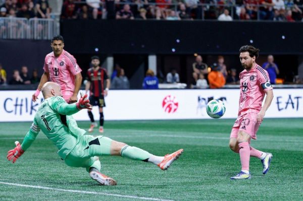  گل چیپ مسی شبیه به گلی که به نویر زد