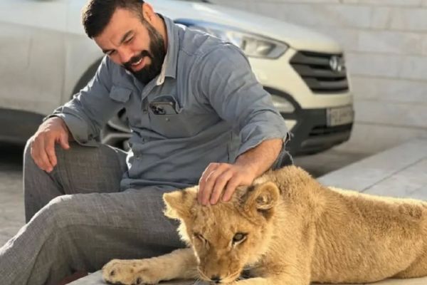 علیاکبری نمیدانستم نگهداری شیر جُرم است