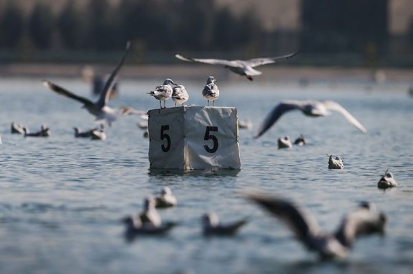 درگذشت قهرمان آبهای آرام در حادثه بندر شهید رجایی