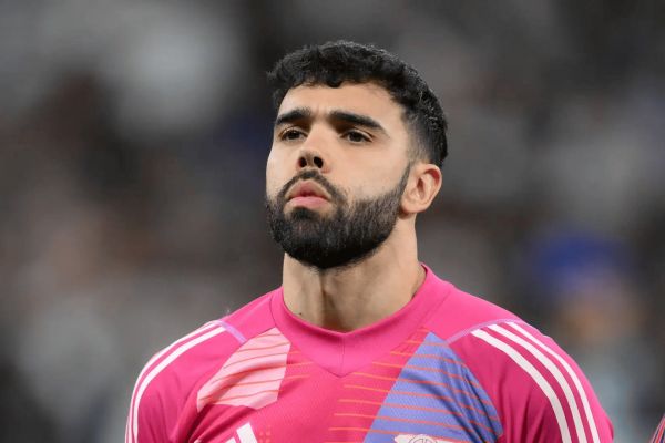  تمجید دروازه‌بان آرسنال از رایس  همه کار می‌کند