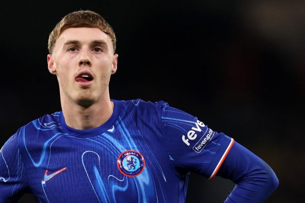 واکنش پالمر به سروصدای فضای مجازی آنها احمقند