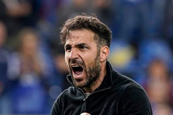  سسک فابرگاس گزینه جذاب جانشینی ژابی آلونسو در بایرلورکوزن