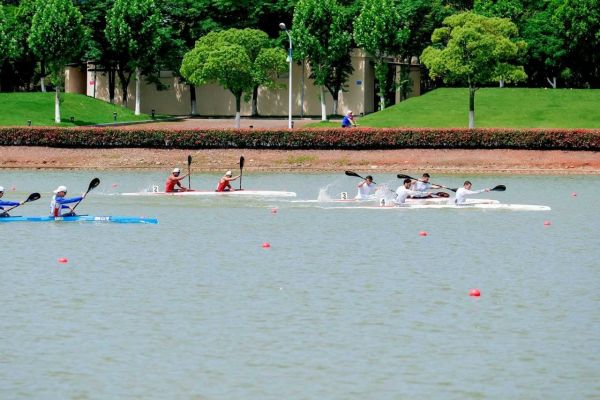 ایران در کایاک دو نفره آبهای آرام به طلا رسید