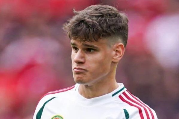  توافق نهایی بورنموث و لیورپول بر سر پدیده مجارستانی