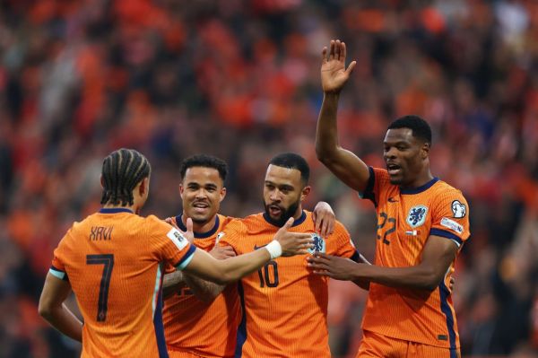 نمایش مقتدرانه از لالههای نارنجی در مسیر جام جهانی