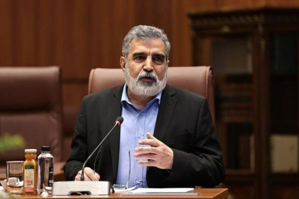 کمالوندی صنعت هستهای ریشه در کشور ما دارد و از بین نمیرود