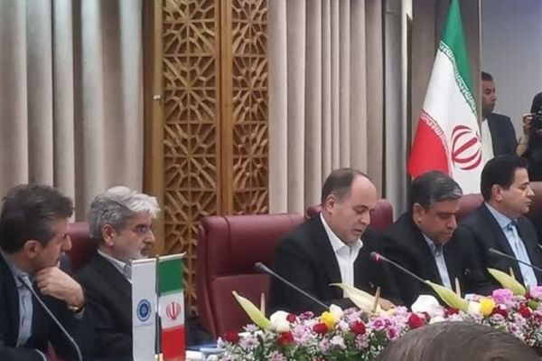 دستور وزیر جهاد کشاورزی برای رفع موانع تأمین مرغ و گوشت