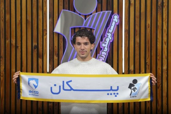 مهدی نجفی به پیکان پیوست