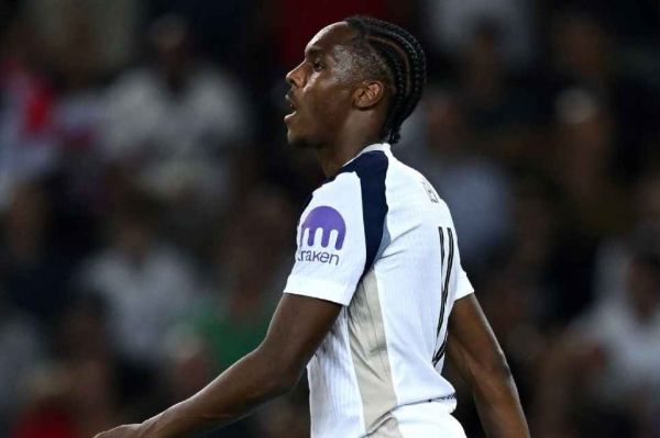  واکنش ستاره تاتنهام به توهین‌های نژاد‌پرستانه