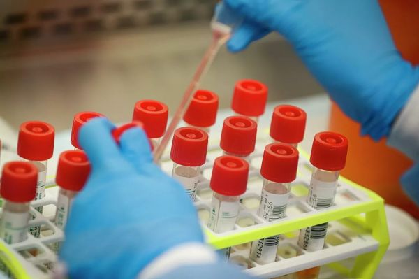  محرومیت ۳ ساله برای پدیده وزن حسن یزدانی