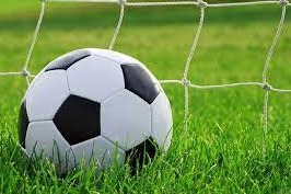  تشکیل دو دوره آموزش مربیگری در تهران