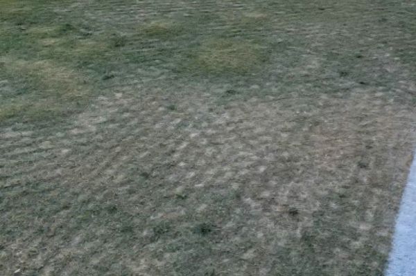 چمن فاجعهبار ورزشگاه وایکاس در آستانه مصاف با بارسلونا