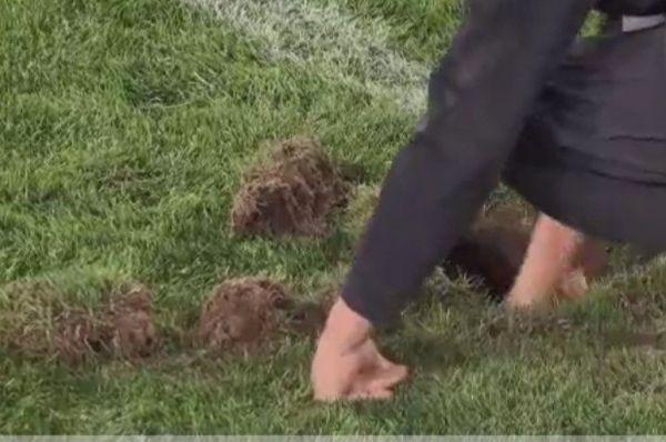  توقف بازی اتریش و قبرس به دلیل گودال عجیب در زمین چمن