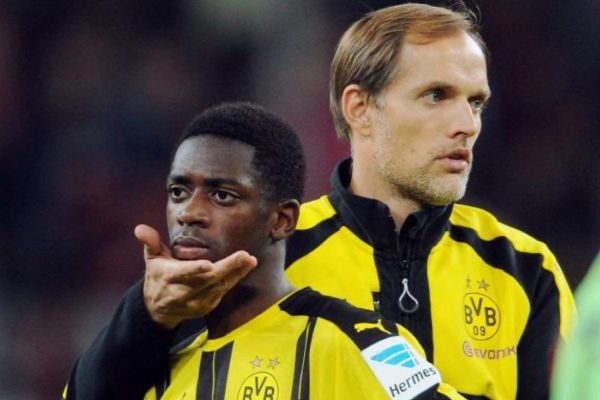 پیشبینی توخل در مورد دمبله درست از آب درآمد