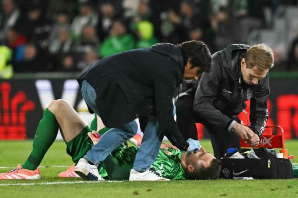 سنگربان الچه وینیسیوس مرا نقش بر زمین کرد