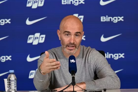  مارسکا  پالمر و واردی، بهترین‌هایی که در دوران مربیگری‌ام دیده‌ام