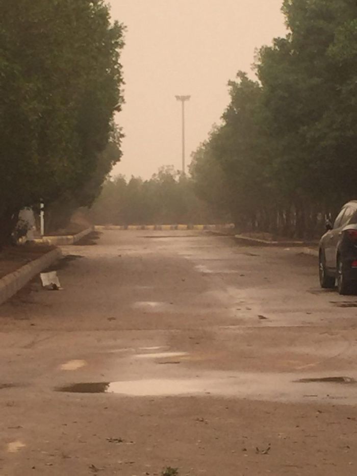 تصویر خبر