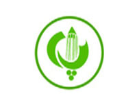 پاس و تلاش برای بقا در لیگ دسته دوم