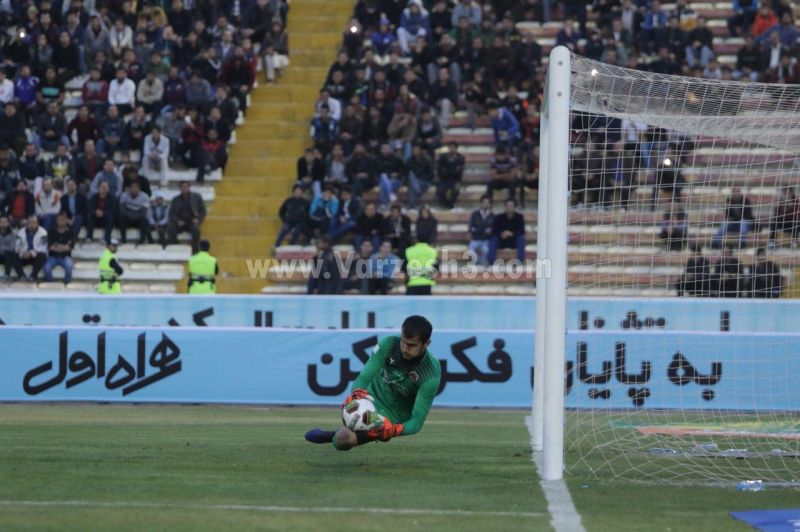 یک تنه مقابل ستارههای آبی (عکس)