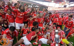 جنجال در فوتبال پرتغال؛ جام قهرمانی بنفیکا به علت تبانی پس گرفته میشود؟