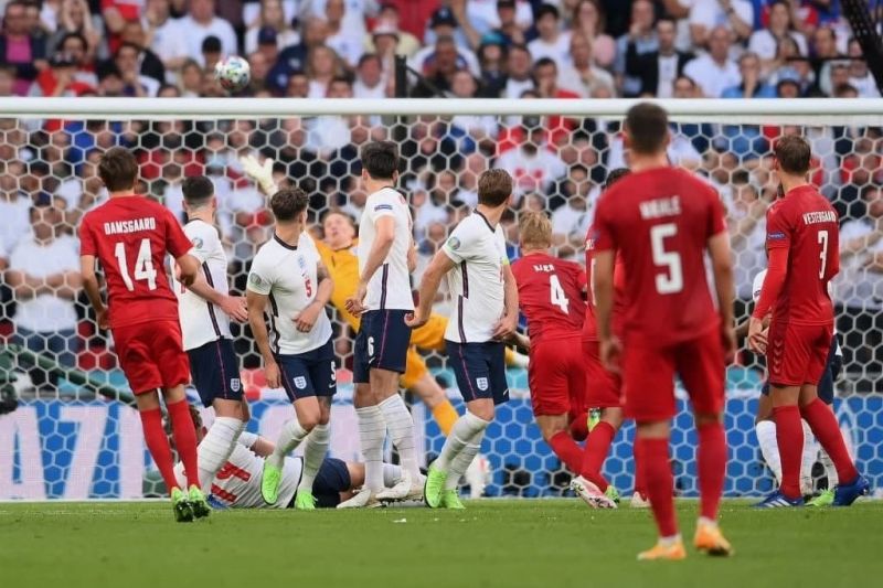 نمایی دیدنی از گل کاشته دمسگارد به انگلیس