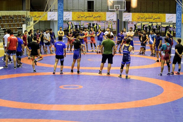 برنامههای کشتی برای مبارزه با دوپینگ/ تقویم در اختیار نادو قرار گرفت